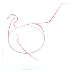 Vogel - Truthahn zeichnen lernen schritt für schritt tutorial 2