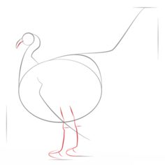 Vogel - Truthahn zeichnen lernen schritt für schritt tutorial 3