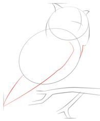 Vogel - Eule zeichnen lernen schritt für schritt tutorial 4