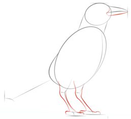 Vogel - Krähe zeichnen lernen schritt für schritt tutorial 4