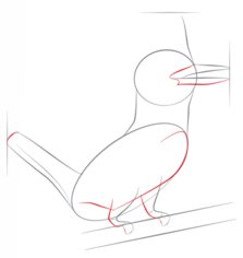 Vogel zeichnen lernen schritt für schritt tutorial 4