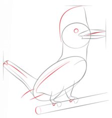 Vogel zeichnen lernen schritt für schritt tutorial 5