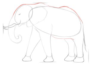 Elefant zeichnen lernen schritt für schritt tutorial 4