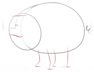 Schwein zeichnen lernen schritt für schritt tutorial 3