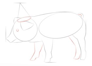 Schwein 2 zeichnen lernen schritt für schritt tutorial 5