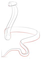 Schlange - Kobra zeichnen lernen schritt für schritt tutorial 4