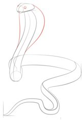 Schlange - Kobra zeichnen lernen schritt für schritt tutorial 5