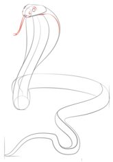 Schlange - Kobra zeichnen lernen schritt für schritt tutorial 6
