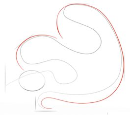 Schlange – Python zeichnen lernen schritt für schritt tutorial 2