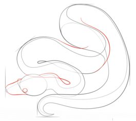 Schlange – Python zeichnen lernen schritt für schritt tutorial 4