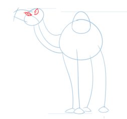Kamel zeichnen lernen schritt für schritt tutorial 2