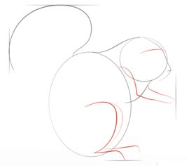Eichhörnchen 2 zeichnen lernen schritt für schritt tutorial 3