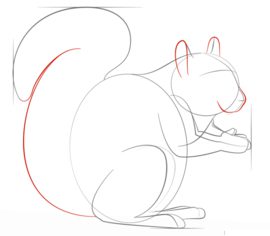 Eichhörnchen 2 zeichnen lernen schritt für schritt tutorial 5