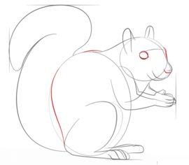 Eichhörnchen 2 zeichnen lernen schritt für schritt tutorial 7