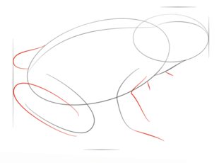 Frosch 2 zeichnen lernen schritt für schritt tutorial 4