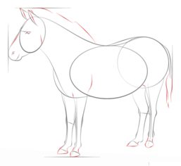 Zebra zeichnen lernen schritt für schritt tutorial 7