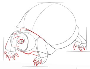 Schildkröte zeichnen lernen schritt für schritt tutorial 7