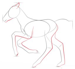 Fohlen zeichnen lernen schritt für schritt tutorial 4
