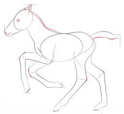 Fohlen zeichnen lernen schritt für schritt tutorial 5