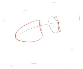 Käfer zeichnen lernen schritt für schritt tutorial 2