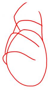 Hand zeichnen lernen schritt für schritt tutorial 1