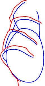 Hand zeichnen lernen schritt für schritt tutorial 2