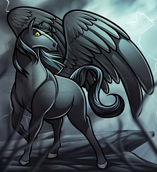 Schwarzer Pegasus zeichnen lernen 15