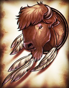 Indianischer Bison zeichnen lernen 8