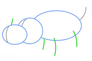 Nashorn zeichnen 2