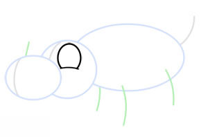 Nashorn zeichnen 3
