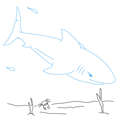 Haifisch zeichnen 18