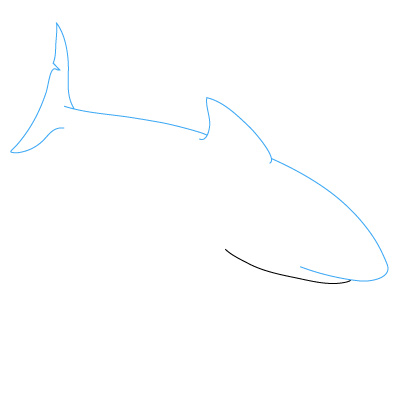 Haifisch zeichnen 7