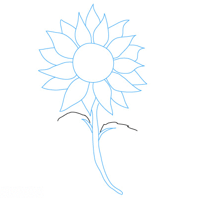 Sonnenblume zeichnen 9